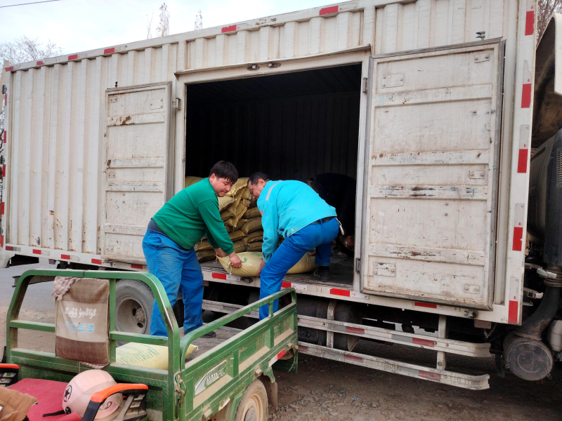 mmexport1774593963146