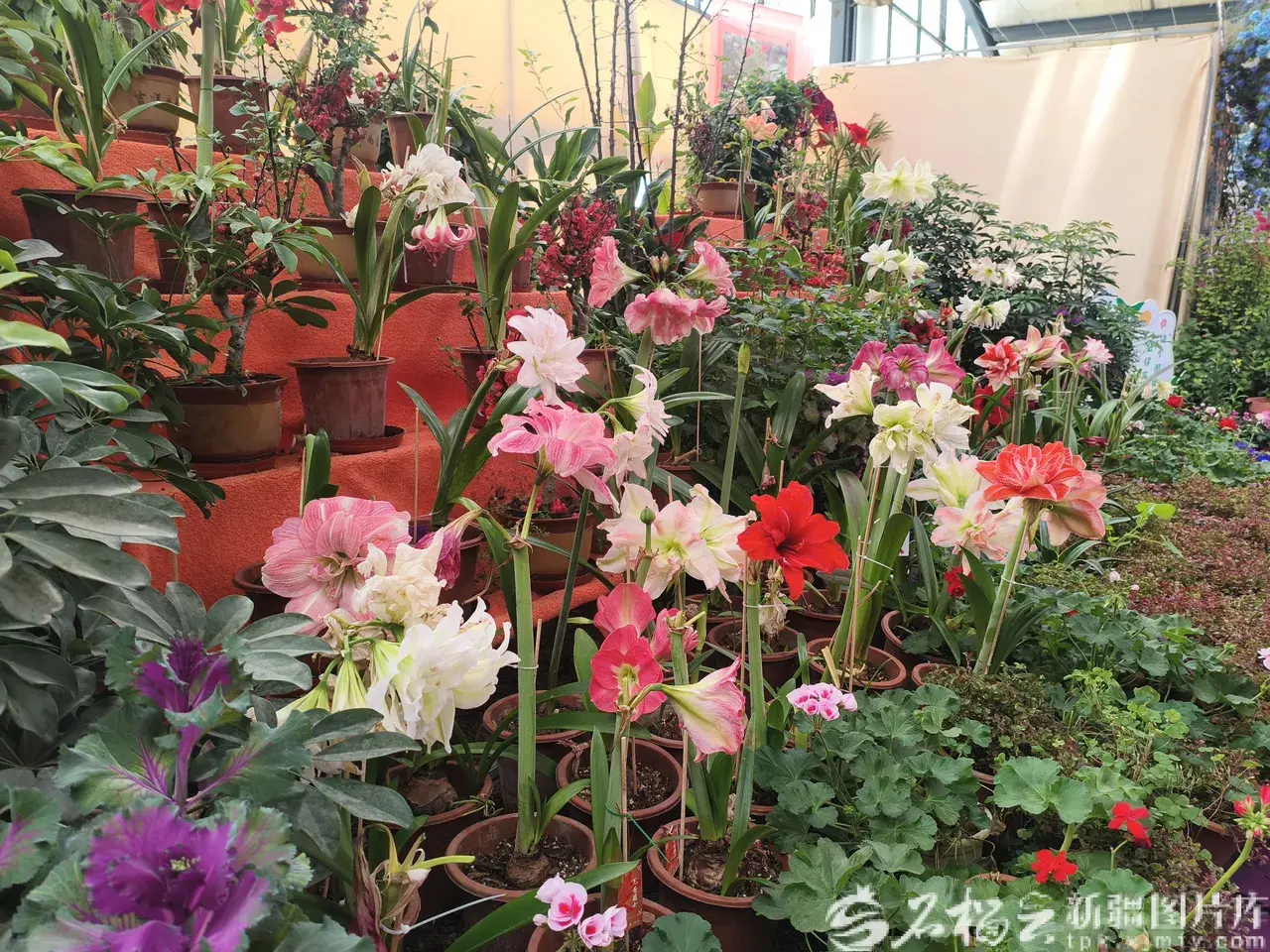 f24f8e806f6395acd535eae0a00f047e