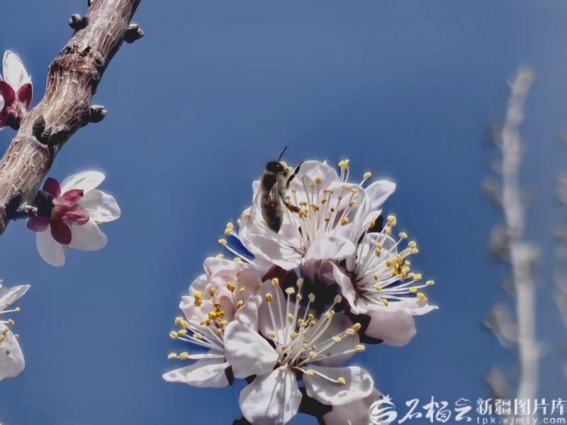 mmexport1776162182127_edit_181445985213979