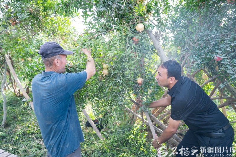 image_1788149603290